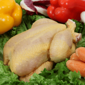 Galletto Veneto – accosciato