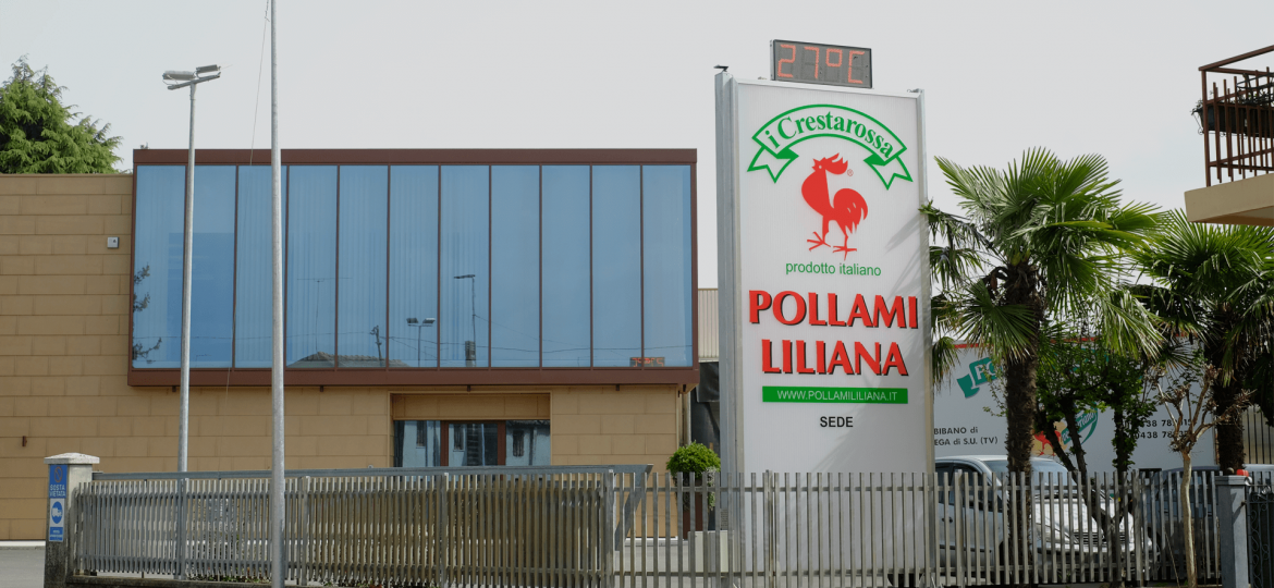 vendita-carni-avicole-08