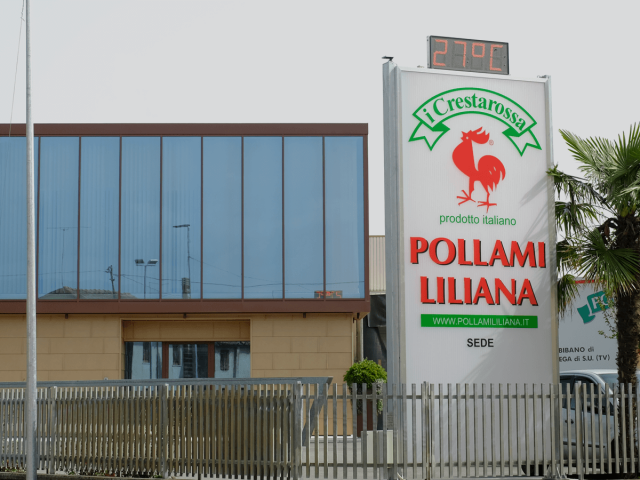 vendita-carni-avicole-08